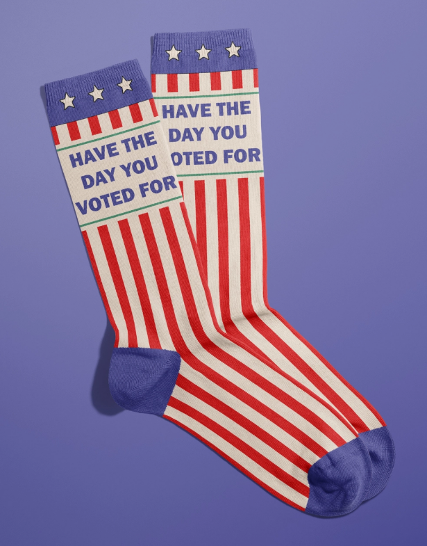 Have The Day You Voted For Socks