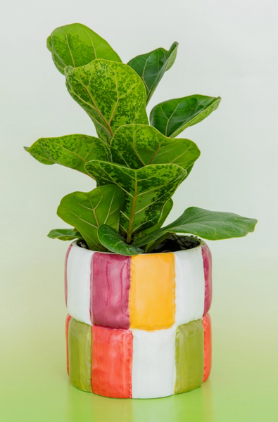 Colorblock Ceramic Planter