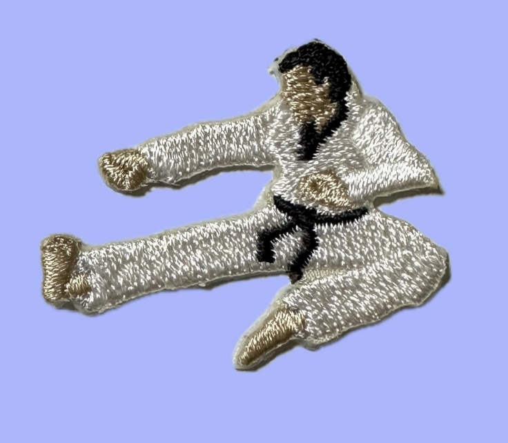 TaeKwondo Boy Embroidered Patch